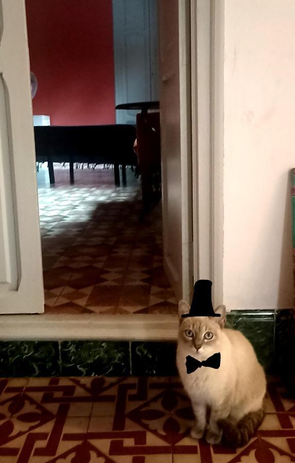 Casa Artistica Acomodação com café da manhã Gandía Exterior foto